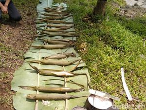 Wangi dan Nikmat, Nasi Leumeung Khas Pangandaran Wangi dan Nikmat, Nasi Leumeung Khas Pangandaran