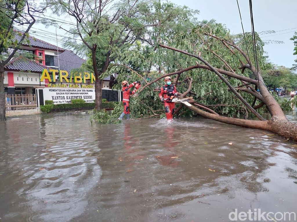 Hujan Lebat Disertai Angin Kencang di Kediri Tumbangkan Belasan Pohon Besar Hujan Lebat Disertai Angin Kencang di Kediri Tumbangkan Belasan Pohon Besar