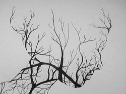 Tes Kepribadian: Gambar Wanita atau Ranting yang Pertama Kali Kamu Lihat?