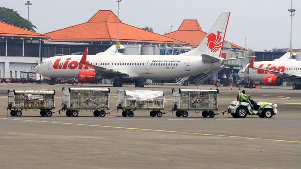 INACA Minta Parkir Pesawat Digratiskan Selama Larangan Mudik