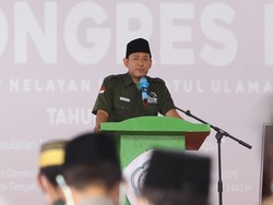 Saran untuk Pemerintah Atasi Kelangkaan Jagung