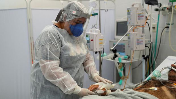Nursing technician Semei Araujo Cunha puts what she calls 'maozinha do amor' or 'hands of love', warm water-filled gloves, on a coronavirus disease (COVID-19) patient intubated at a UPA (Emergency Service Unit) in Sao Carlos, Sao Paulo state, Brazil April 16, 2021. Picture taken April 16, 2021. REUTERS/Amanda Perobelli