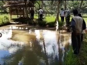 Warga di 89 Desa Ciamis Masih Ada yang BAB Sembarangan Warga di 89 Desa Ciamis Masih Ada yang BAB Sembarangan