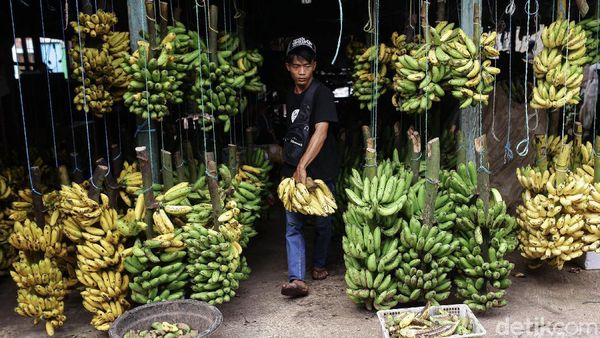 Lesunya Penjualan Pisang di Pasar Kebayoran Lama