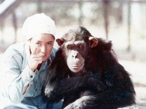 Kera Bisa Serupa Manusia, Kecuali untuk Kemampuan Ini