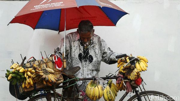 Meski Usai Lanjut, Kakek Ini Tetap Semangat Berjualan Pisang
