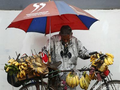 Meski Usai Lanjut, Kakek Ini Tetap Semangat Berjualan Pisang