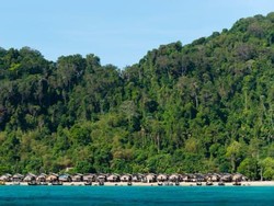 Mengenal Suku Laut: Asal Suku, Sejarah, dan Rumah Adatnya