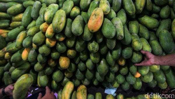 Bagus Dikonsumsi di Bulan Puasa, Ini Manfaat Buah Pepaya