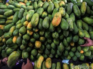 Bagus Dikonsumsi di Bulan Puasa, Ini Manfaat Buah Pepaya