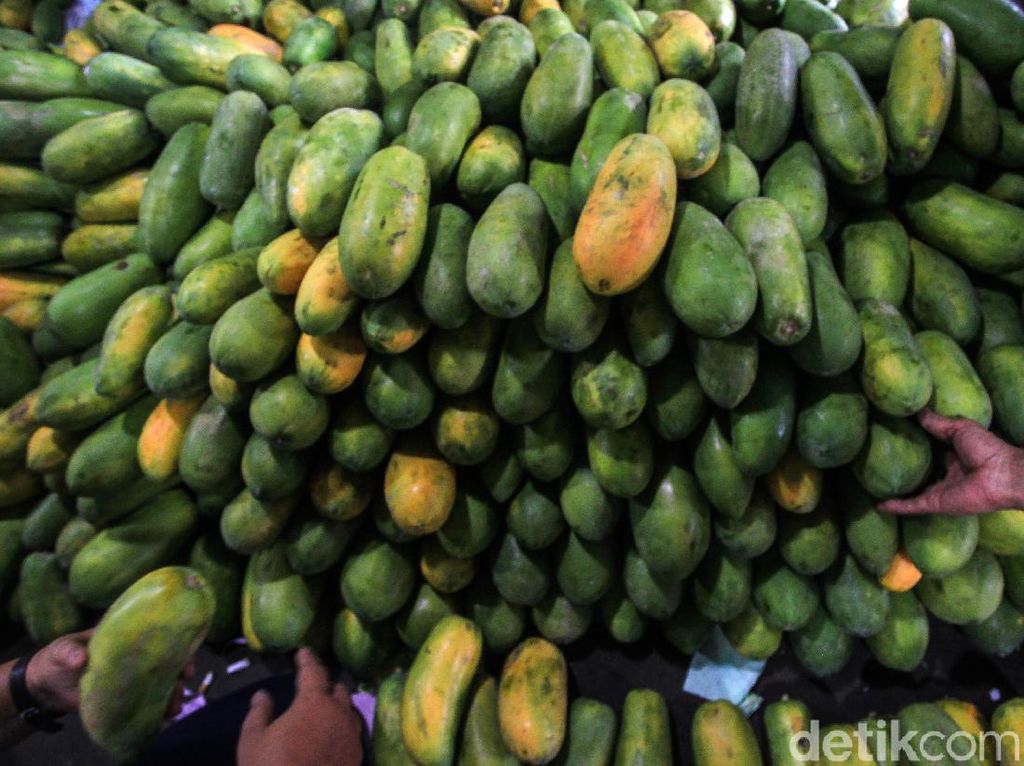 Bagus Dikonsumsi di Bulan Puasa, Ini Manfaat Buah Pepaya Bagus Dikonsumsi di Bulan Puasa, Ini Manfaat Buah Pepaya
