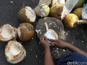Omicron di Mana-mana, Benarkah Minum Air Kelapa Bisa Perkuat Imun?
