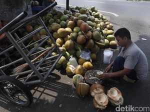 Berkah Pedagang Kelapa Muda di Bulan Ramadhan