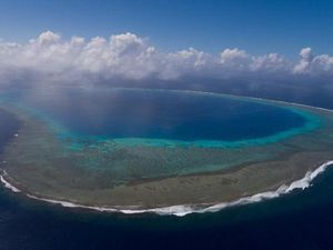 Blue Nature Ingin Pulihkan Lautan yang Luasnya 4 Kali Luas Laut Indonesia