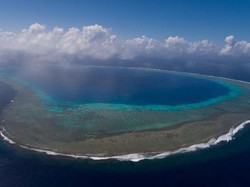 Blue Nature Ingin Pulihkan Lautan yang Luasnya 4 Kali Luas Laut Indonesia