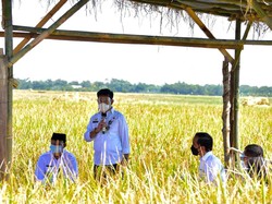 Dampingi Jokowi di Indramayu, Mentan Jamin Harga Gabah Stabil