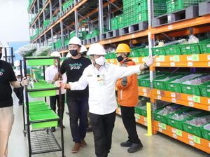 Mentan Sebut Sentuhan Milenial Buat Pertanian Semakin Maju