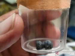 Warga Aceh Ditembak di Kebun Sawit, 1 Orang Jadi Tersangka