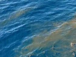 Ada Kemungkinan Kru KRI Nanggala-402 Buang BBM agar Kapal Mengapung Ada Kemungkinan Kru KRI Nanggala-402 Buang BBM agar Kapal Mengapung