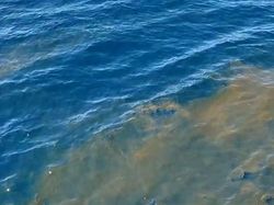 2 Kemungkinan dari Tumpahan Minyak di Lokasi Pencarian KRI Nanggala-402