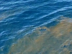 2 Kemungkinan dari Tumpahan Minyak di Lokasi Pencarian KRI Nanggala-402