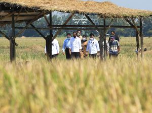 BPS Sebut Pertanian Jadi Sektor Andalan di Triwulan I 2021