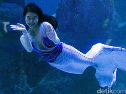 Saat Putri Duyung Ikut Meriahkan Peringatan Hari Kartini Saat Putri Duyung Ikut Meriahkan Peringatan Hari Kartini