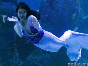 Putri Duyung Sebenarnya Ada di Dunia Nyata Putri Duyung Sebenarnya Ada di Dunia Nyata