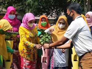 Belajar Pertanian Perkotaan di Masa Pandemi