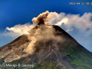 Gunung Merapi Erupsi Siang Ini, Awan Panas Meluncur 1,5 Km