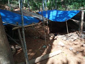 Pemda-Polisi Dituntut Tegas Berantas Gurandil di Hutan Larangan Baduy