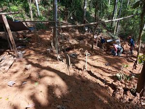Hutan Larangan Baduy Dirusak Gurandil, Ini Respons Gubernur Banten Hutan Larangan Baduy Dirusak Gurandil, Ini Respons Gubernur Banten