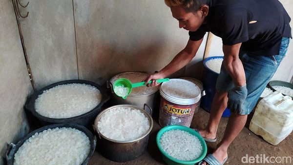 Melihat Pengolahan Kolang-kaling di Magelang