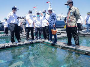 Trenggono Nilai Kepulauan Natuna Potensial Dijadikan KEK Kelautan