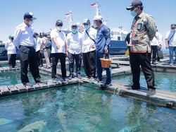 Trenggono Nilai Kepulauan Natuna Potensial Dijadikan KEK Kelautan