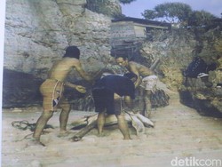 Bunuh-Cincang Penyu Langka Dilindungi, 7 Nelayan Gunungkidul Ditangkap