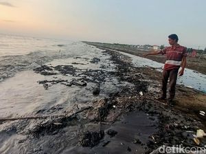 Respons Bupati Cellica soal Tumpahan Minyak di Pantai Karawang Respons Bupati Cellica soal Tumpahan Minyak di Pantai Karawang