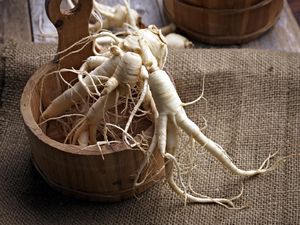 5 Manfaat Ginseng bagi Kesehatan Pria Dewasa 5 Manfaat Ginseng bagi Kesehatan Pria Dewasa