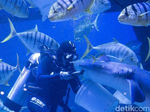 Libur Nataru Tiba, 5 Tempat Wisata Ini Tetap Buka