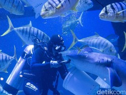 Libur Nataru Tiba, 5 Tempat Wisata Ini Tetap Buka