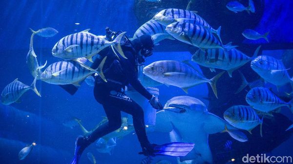 Kenalan dengan Evelyn, Si Gadis Perawat Satwa yang Serba Bisa