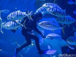 Kenalan dengan Evelyn, Si Gadis Perawat Satwa yang Serba Bisa