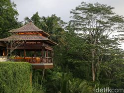 Menikmati Sunset Ubud yang Cantik di Ambar Ditemani Cocktail Wantilan