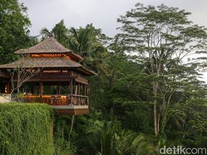 10 Kota Terbaik di Dunia 2021, Indonesia Kalahkan Jepang 10 Kota Terbaik di Dunia 2021, Indonesia Kalahkan Jepang