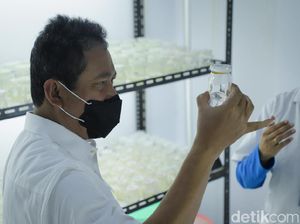 Menjaga Geliat Ikan Hias Menjaga Geliat Ikan Hias
