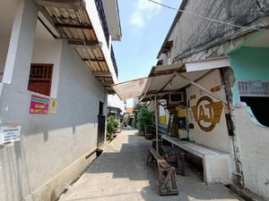 Monyet Lepas Tiba-tiba Serang Bocah hingga Guling-guling di Palmerah Monyet Lepas Tiba-tiba Serang Bocah hingga Guling-guling di Palmerah