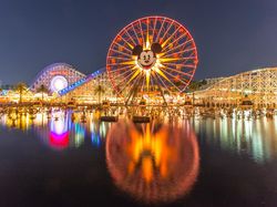 Wahai Para TikTokers, Disney Park Punya Lowongan Nih Buat Kamu...