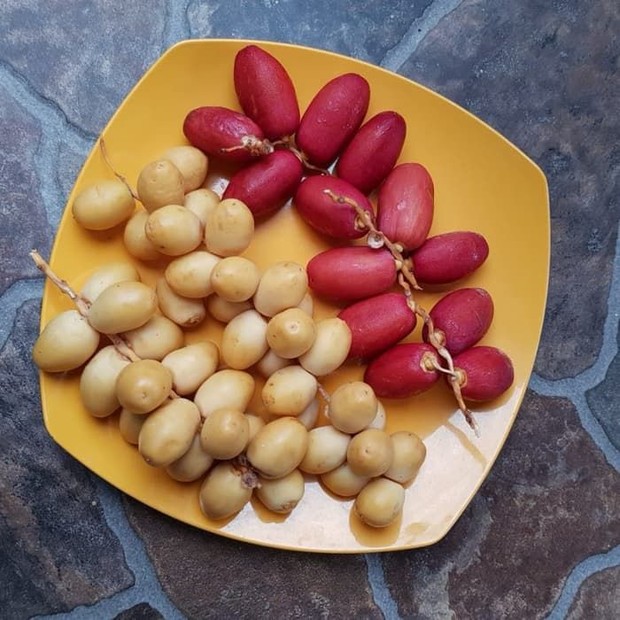 Kurma ruthob/pinterest.com Kurma ruthob