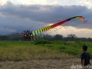 Puasa Nggak Boleh Loyo, Ngabuburit Main Layangan di Magelang