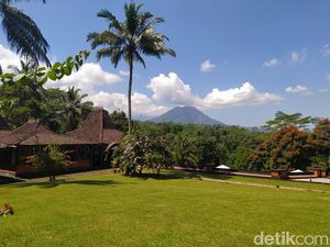 Mewah Banget! Resor Bintang Lima di Tengah Kebun Kopi